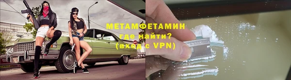 крисы Тайга
