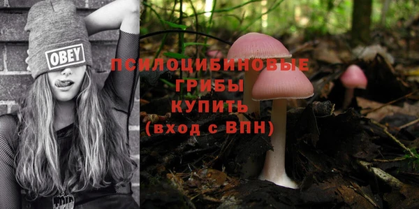 хмурый Вязники