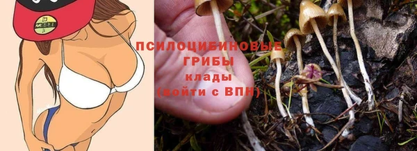 МДПВ Вязьма