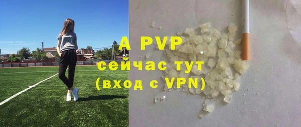 крисы Тайга