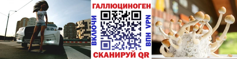 Псилоцибиновые грибы Cubensis Гаврилов Посад